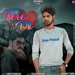 Tere Dil Se